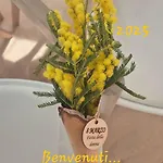 Corte Garibaldi Apartmán